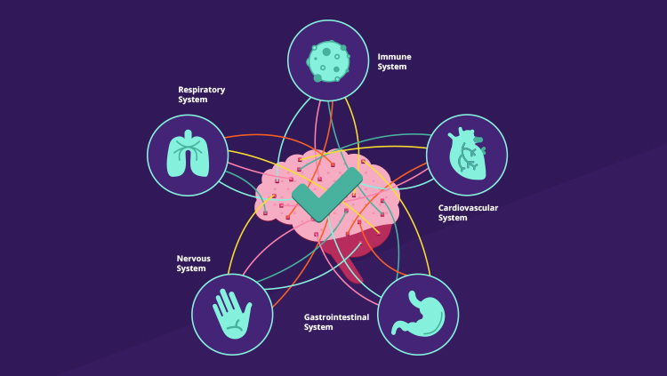 https://www.brainfacts.org/-/media/Brainfacts2/Core-Concepts/Interactives-Thumbnails/BrainFacts-Thumbnails-CC1.jpg