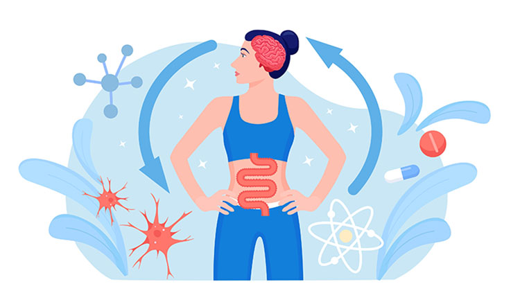 https://www.brainfacts.org/-/media/Brainfacts2/Diseases-and-Disorders/Neurodegenerative-Disorders/Article-Images/gut-brain-parkinsons.jpg