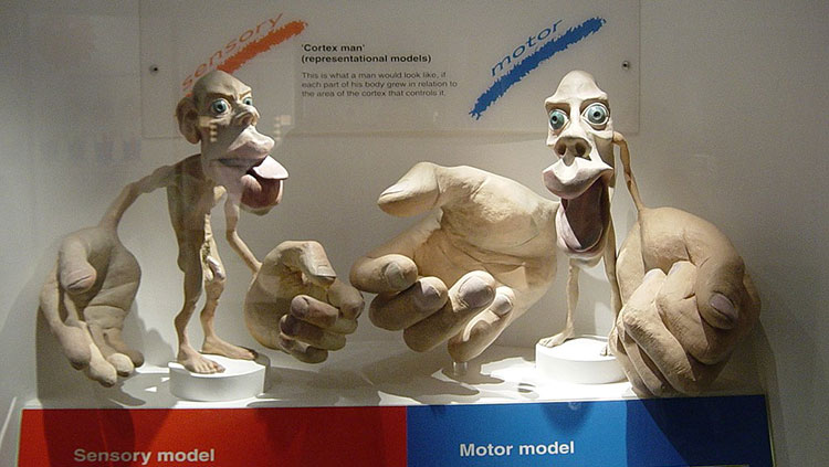 Sculptures from the London Museum