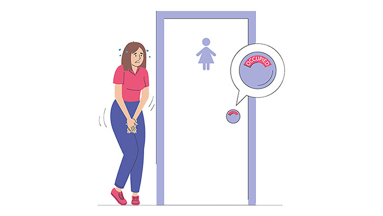 https://www.brainfacts.org/-/media/Brainfacts2/Brain-Anatomy-and-Function/Body-Systems/Article-Images/Too-pee-thumbnail.jpg