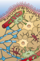 Thumbnail for version as of 20:57, 31 January 2013